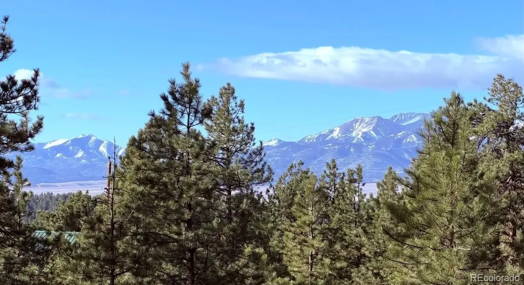 2796 Black Fawn Lane Westcliffe CO 81252