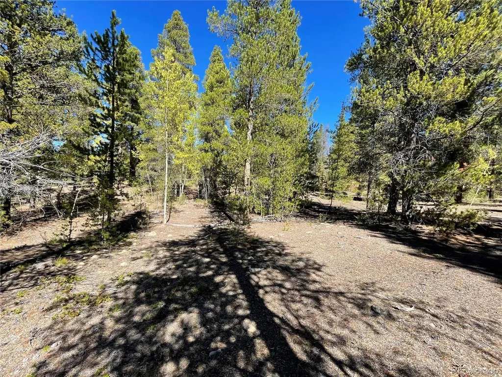 200 Virginia Avenue Leadville CO 80461