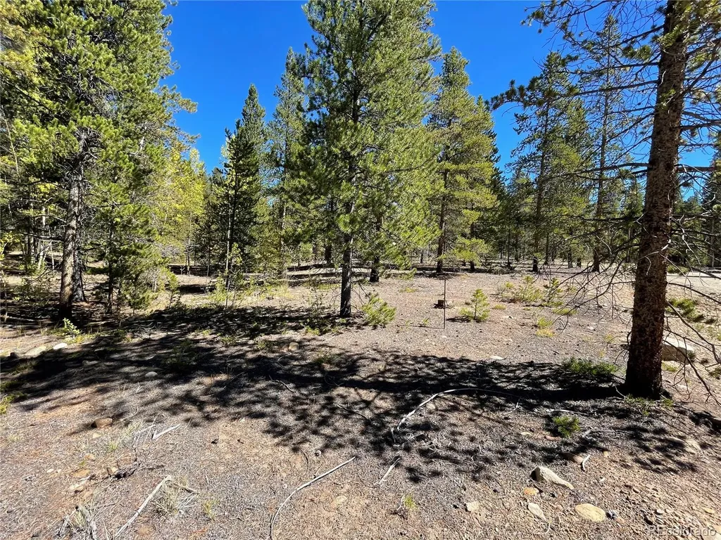 200 Virginia Avenue Leadville CO 80461