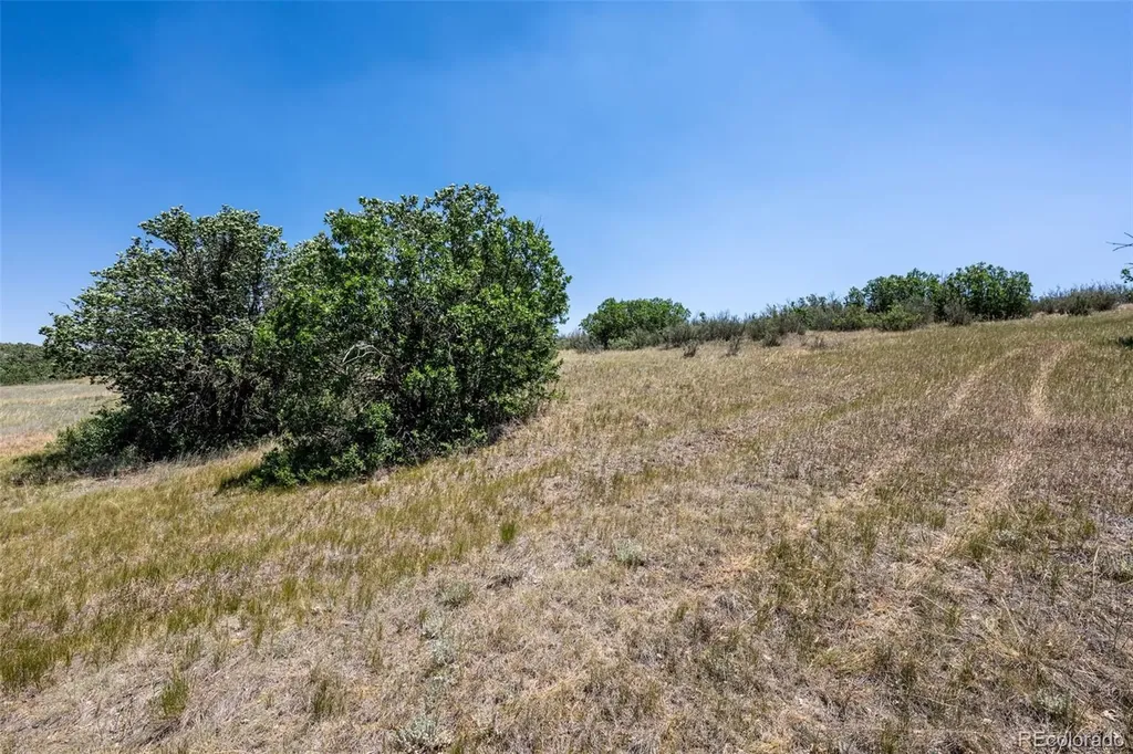 8394 Nugget Court Littleton CO 80125