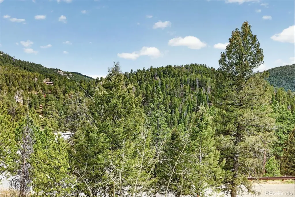 12098 Broken Arrow Drive Conifer CO 80433