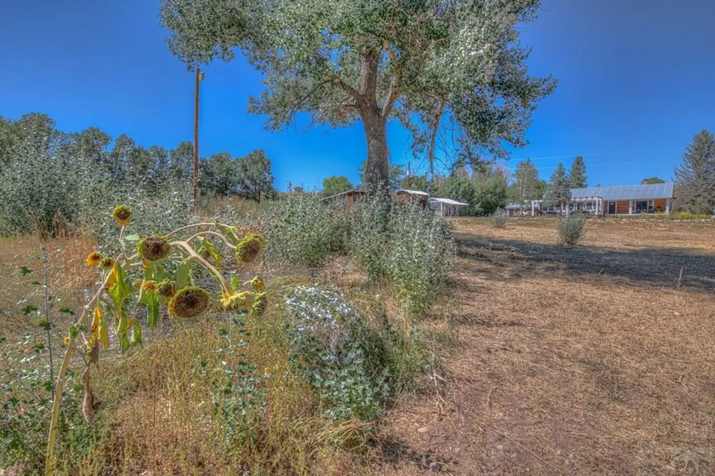 317 W Virginia Street La Veta CO 81055