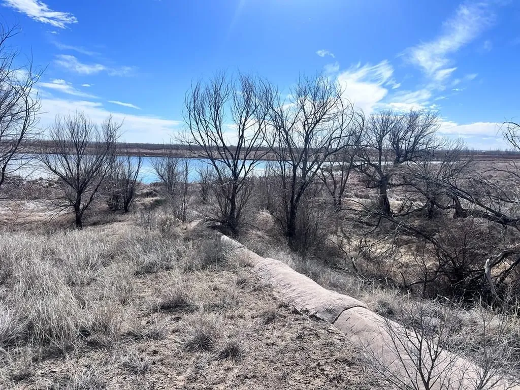 13764 County Road Hh Las Animas CO 81054