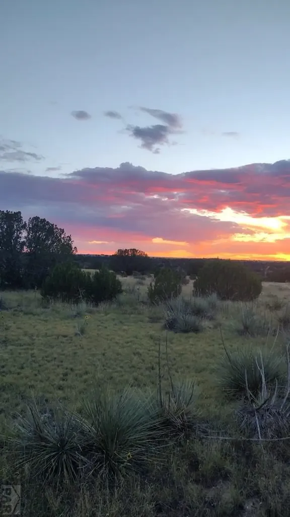 22223 Highway 109 Kim CO 81049