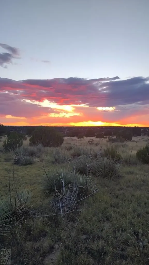 22223 Highway 109 Kim CO 81049