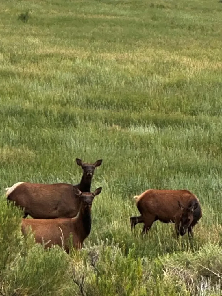 640 County Road 571 Gardner CO 81040