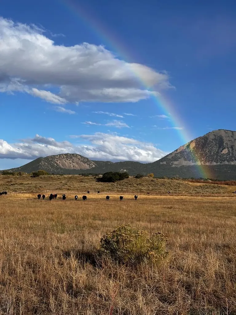 640 County Road 571 Gardner CO 81040