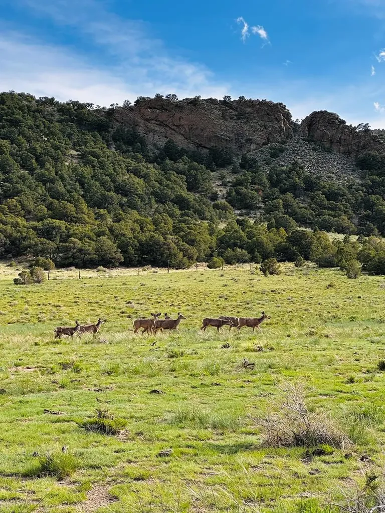 640 County Road 571 Gardner CO 81040