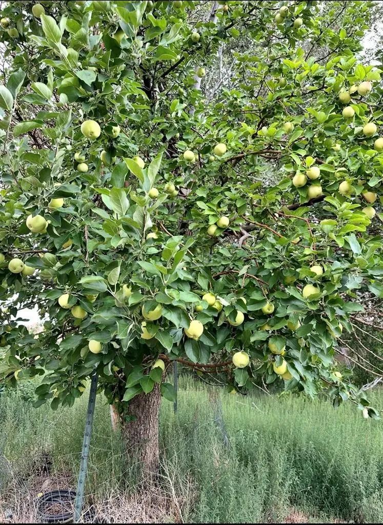 640 County Road 571 Gardner CO 81040