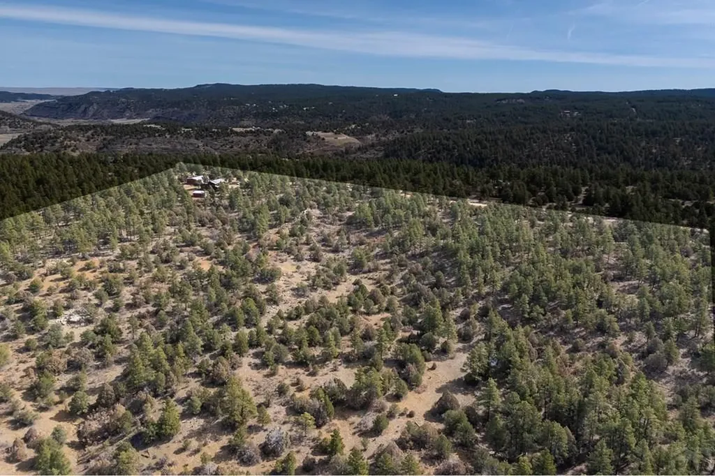 23370 Apishapa Lane Aguilar CO 81020