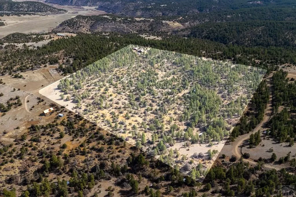 23370 Apishapa Lane Aguilar CO 81020