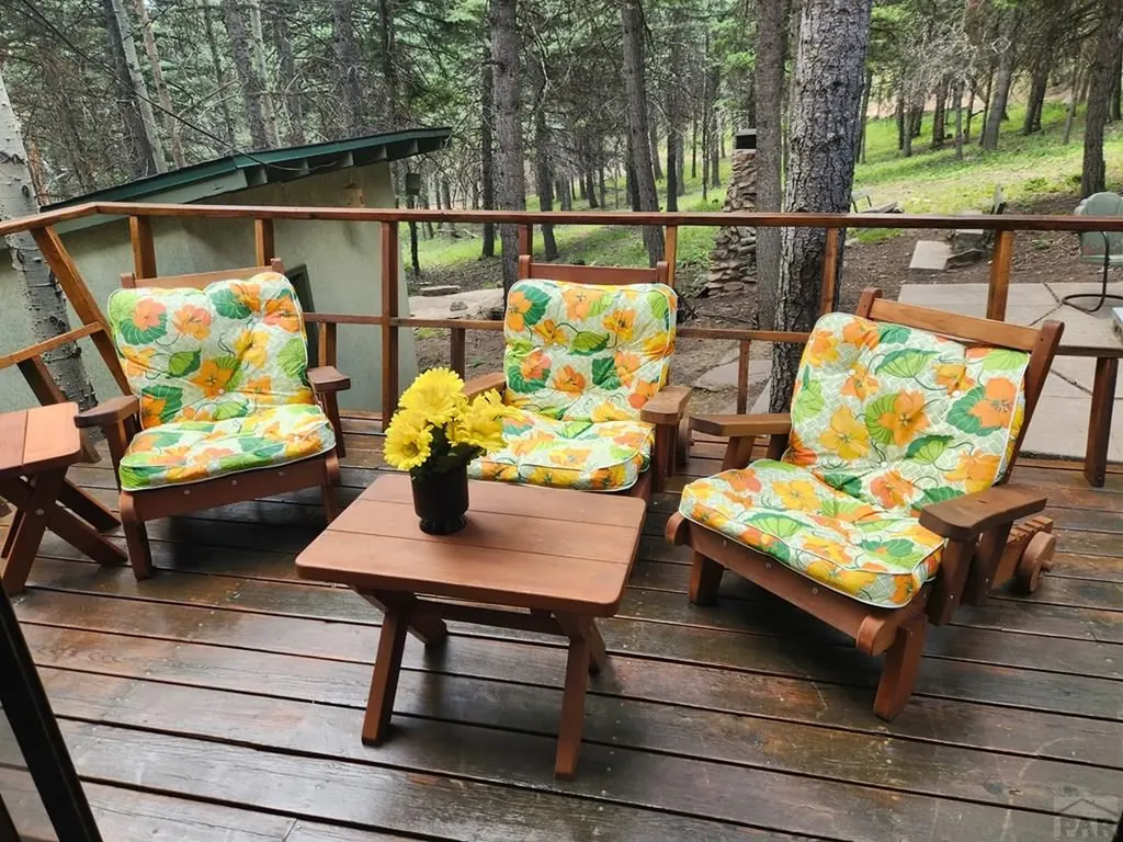 6779 Sunset Place Rye CO 81069