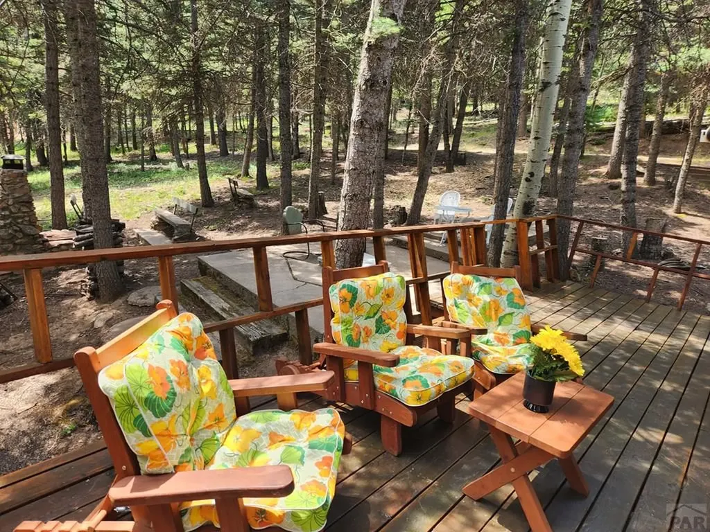 6779 Sunset Place Rye CO 81069