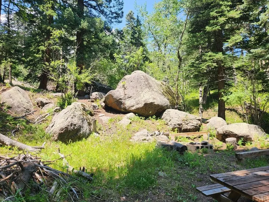 181 Lion Gulch Road Rye CO 81069