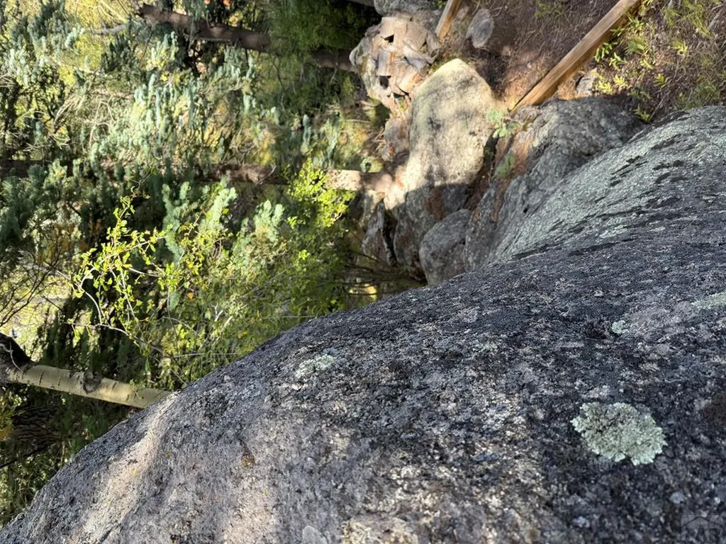 181 Lion Gulch Road Rye CO 81069