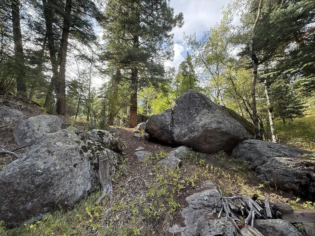 181 Lion Gulch Road Rye CO 81069