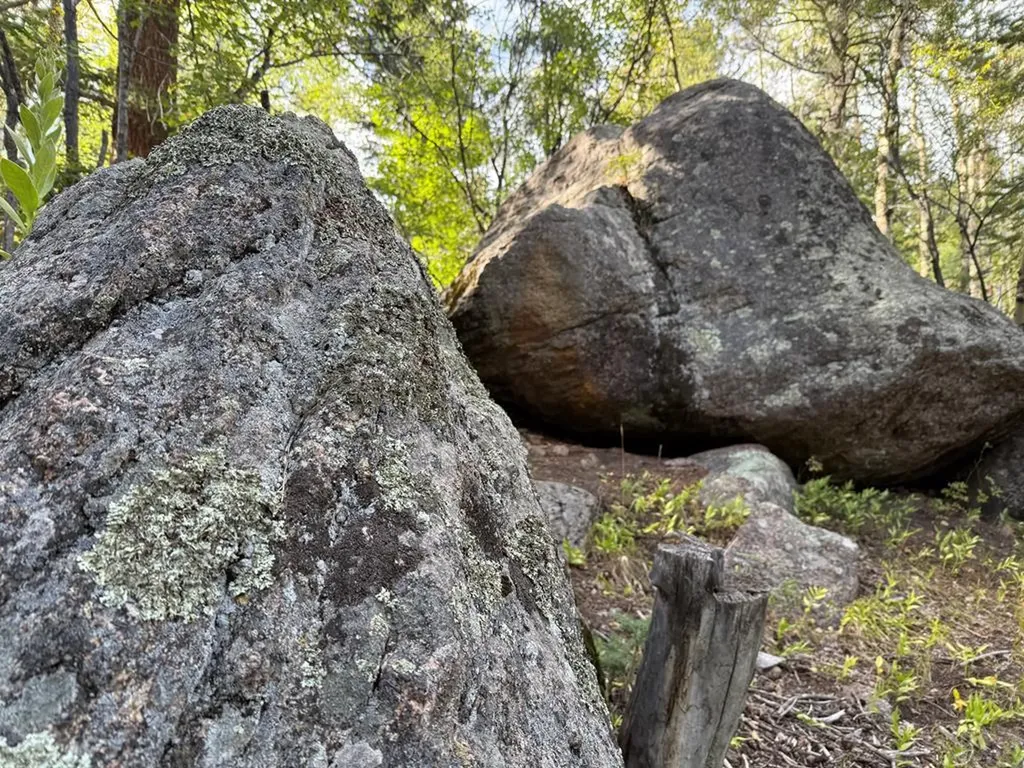 181 Lion Gulch Road Rye CO 81069