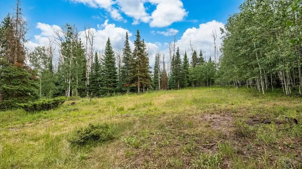 58203 Elk Drive Montrose CO 81403