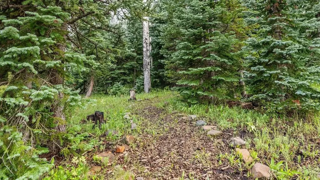 58203 Elk Drive Montrose CO 81403