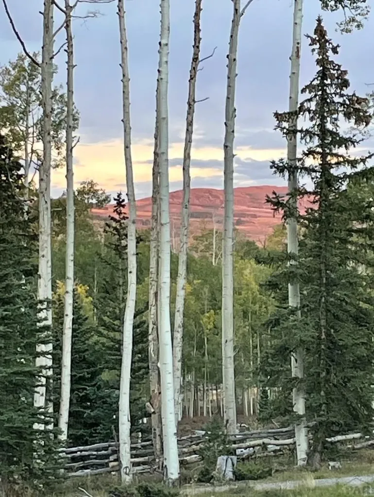 58203 Elk Drive Montrose CO 81403