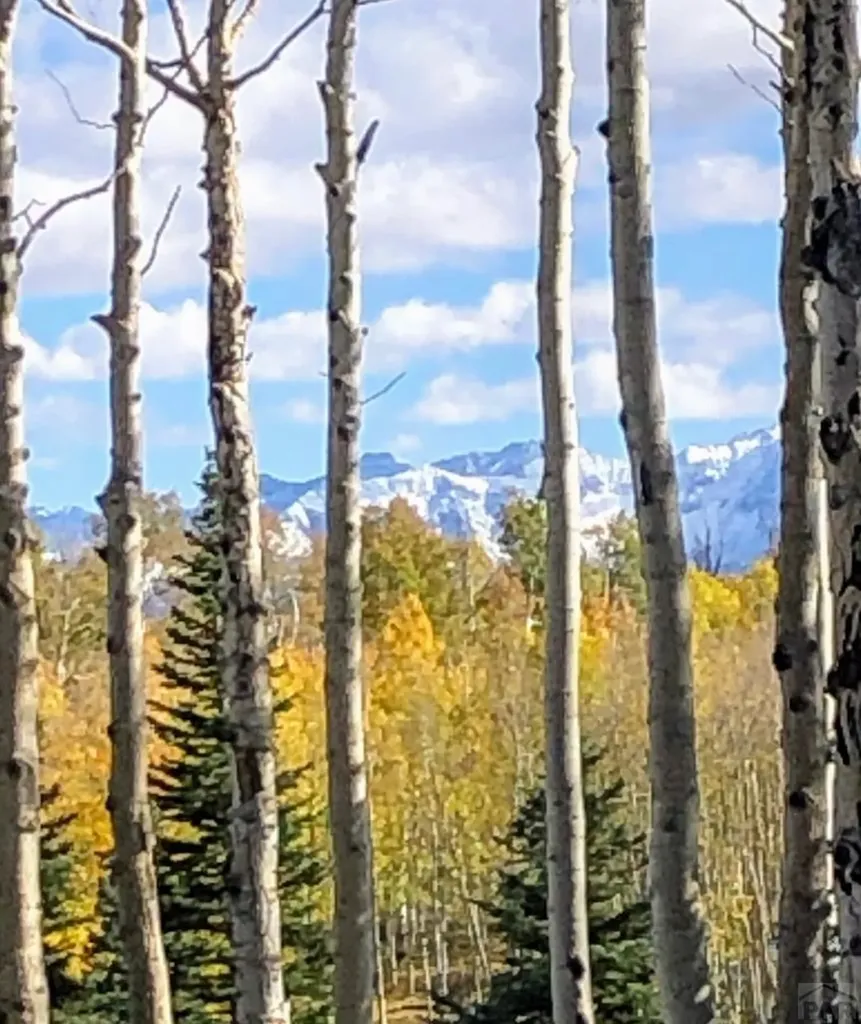 58203 Elk Drive Montrose CO 81403