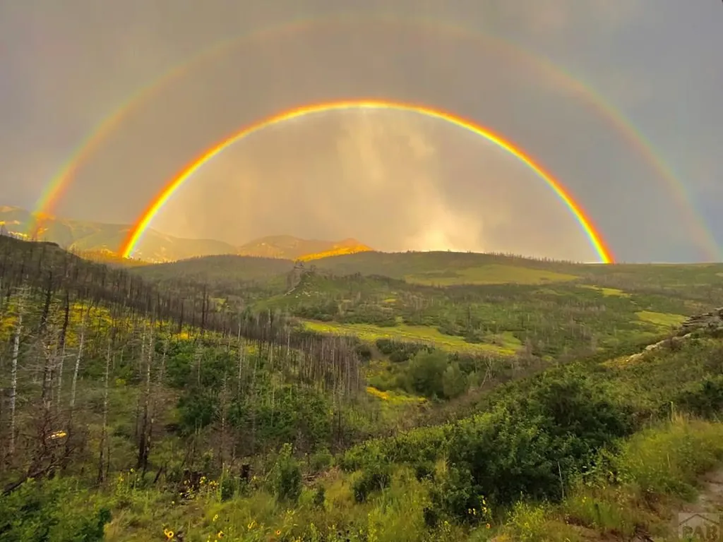 1833 Yellowstone Creek Road La Veta CO 81055