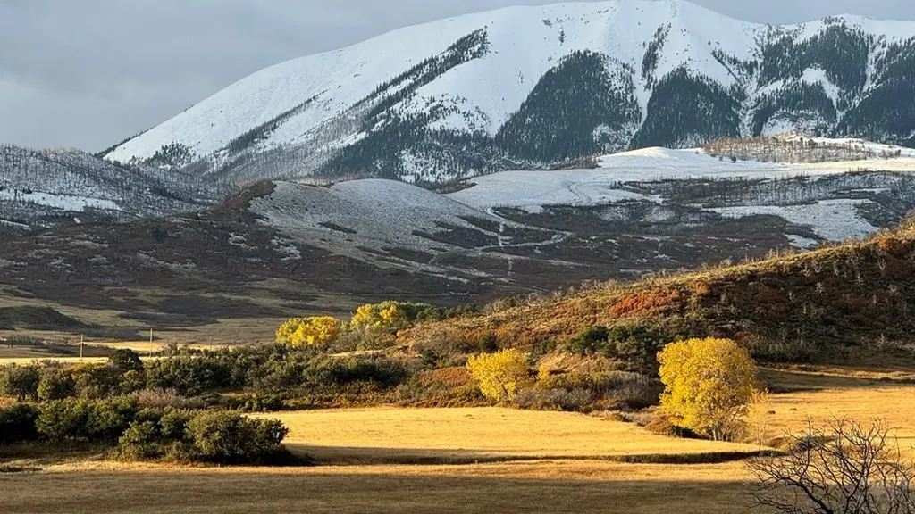 1833 Yellowstone Creek Road La Veta CO 81055