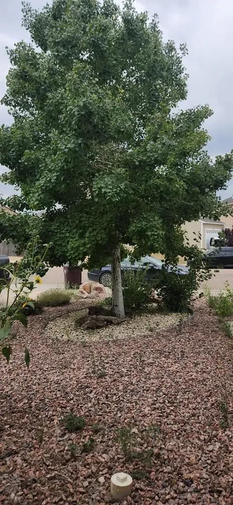 5148 Goldking Road Pueblo CO 81008