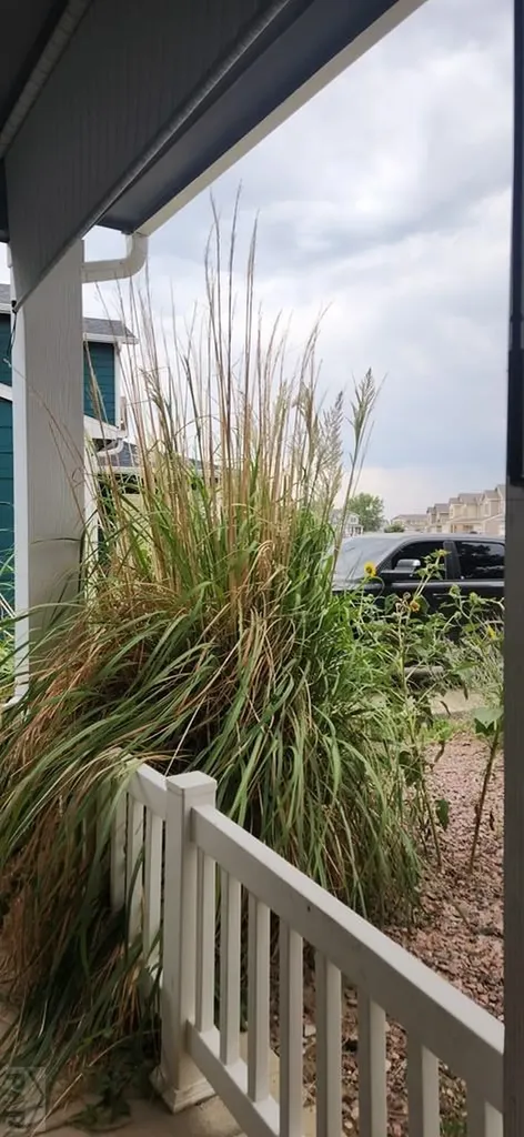 5148 Goldking Road Pueblo CO 81008