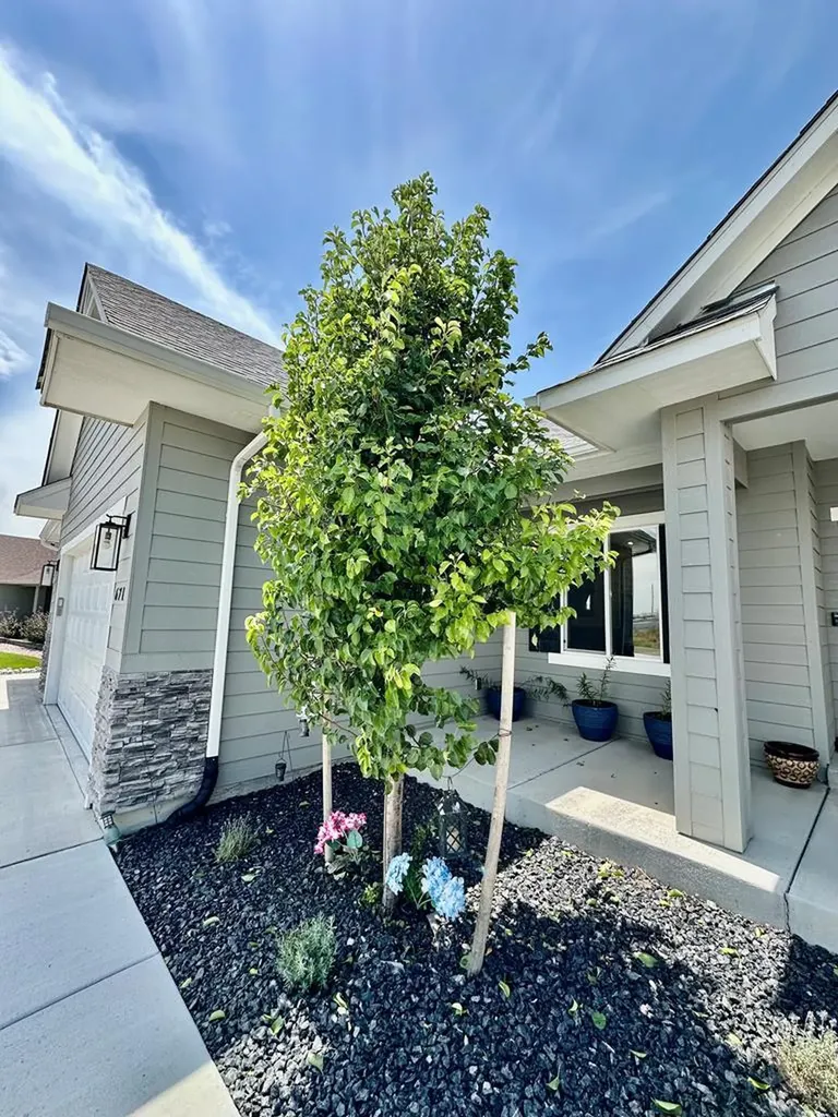 671 N Snyder Pueblo West CO 81007