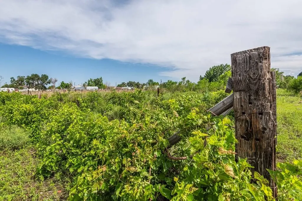 931 25th Lane Pueblo CO 81006