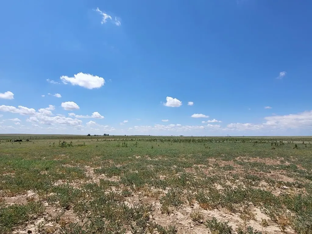 61776 Huckleberry Road Boone CO 81025