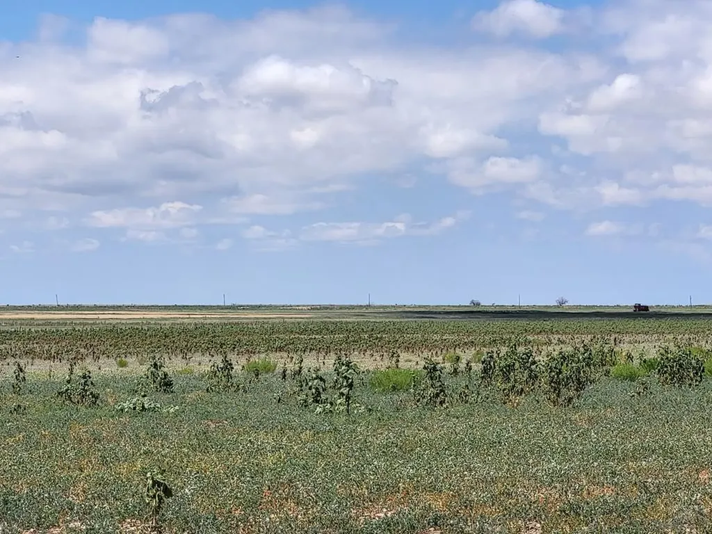 61776 Huckleberry Road Boone CO 81025