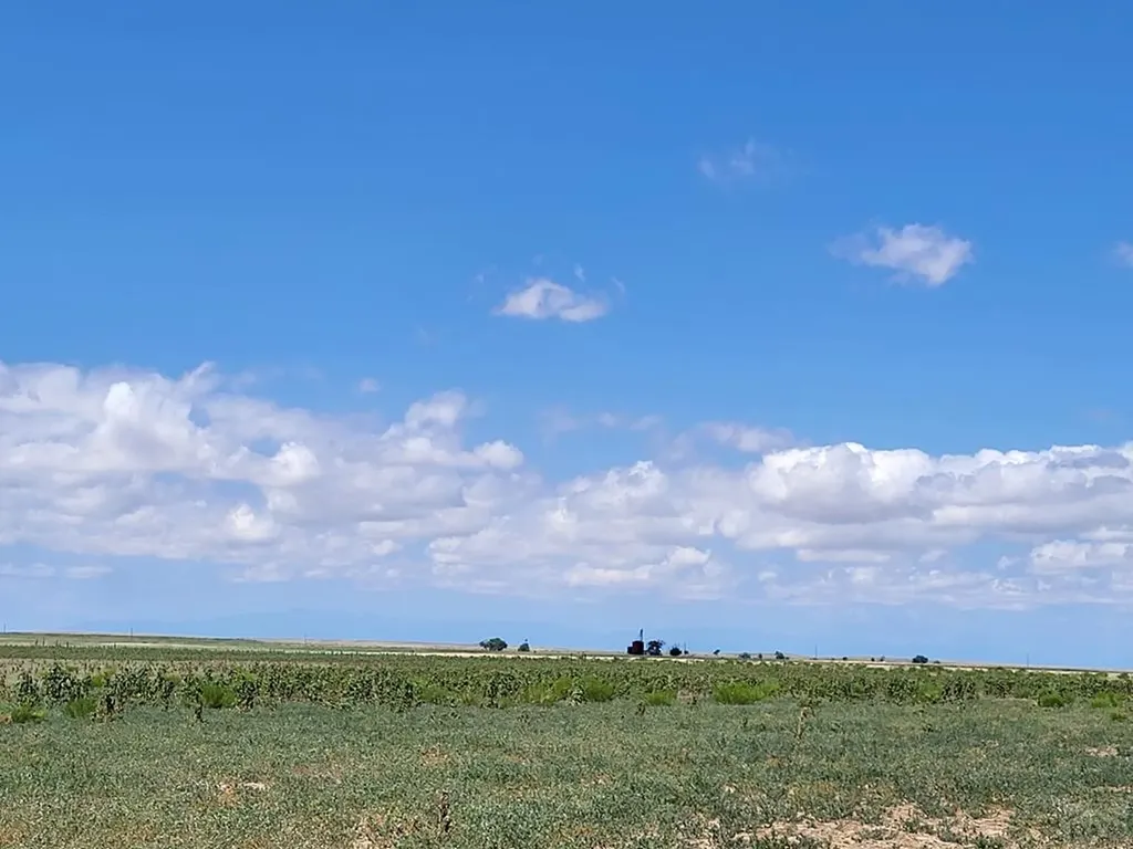 61776 Huckleberry Road Boone CO 81025