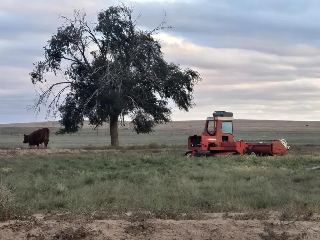 61776 Huckleberry Road Boone CO 81025