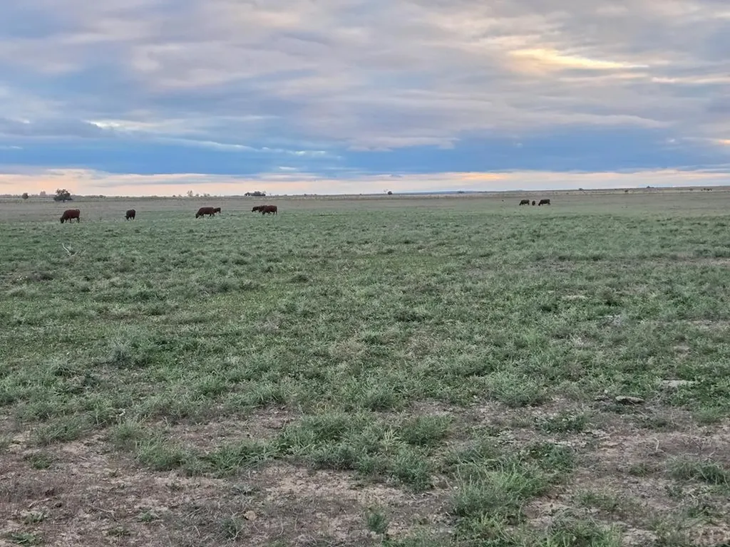 61776 Huckleberry Road Boone CO 81025