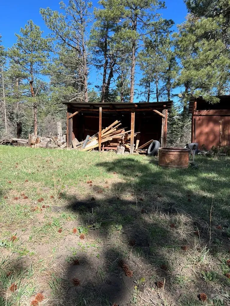 8982 League Trail Beulah CO 81023