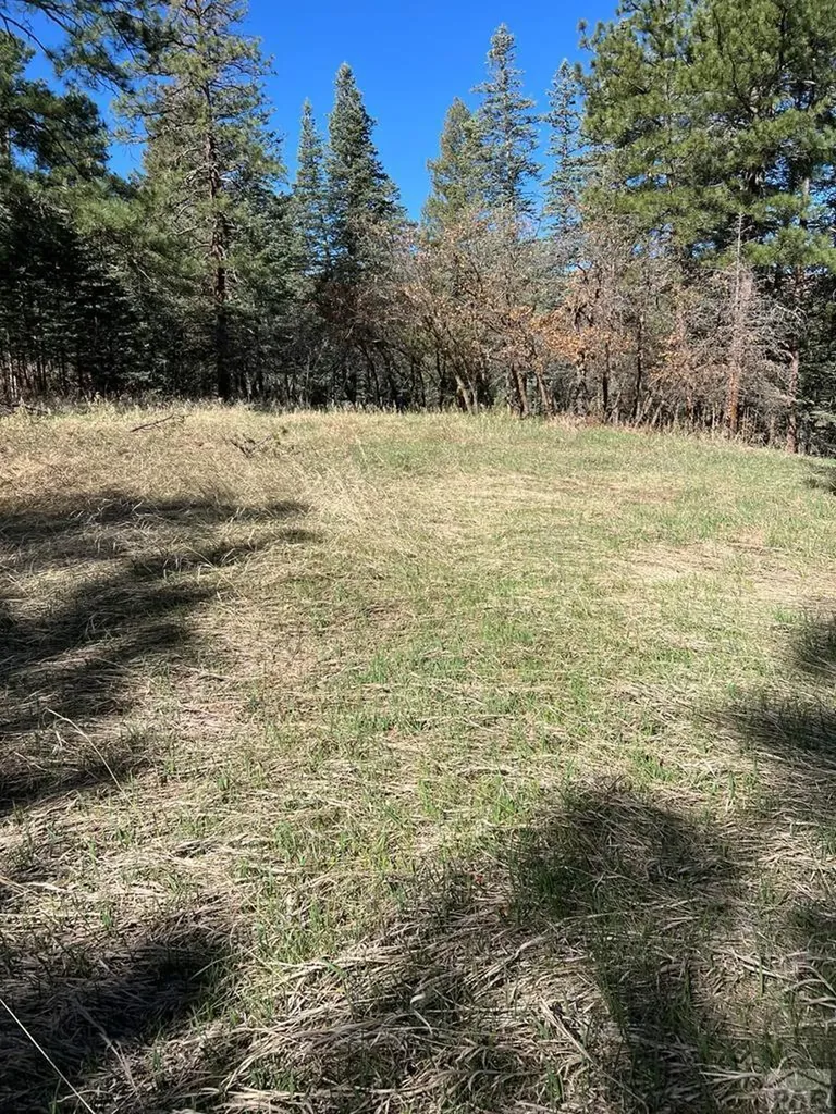 8982 League Trail Beulah CO 81023