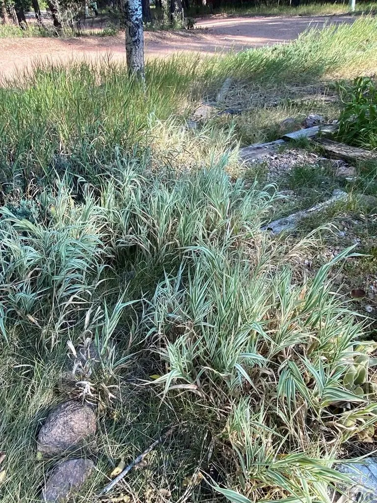 8982 League Trail Beulah CO 81023