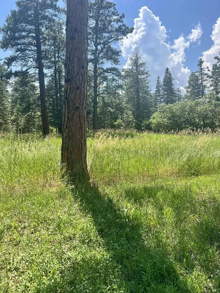 8982 League Trail Beulah CO 81023