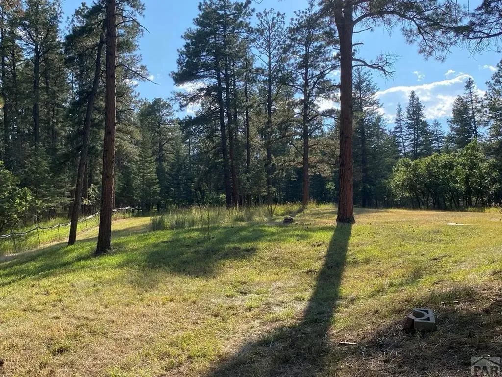 8982 League Trail Beulah CO 81023