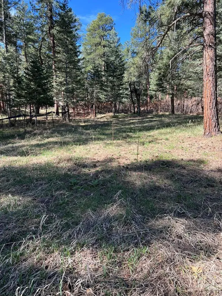 8982 League Trail Beulah CO 81023