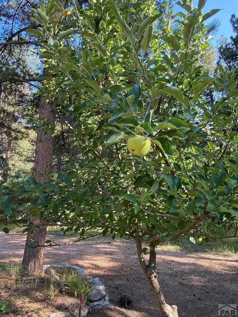 8982 League Trail Beulah CO 81023