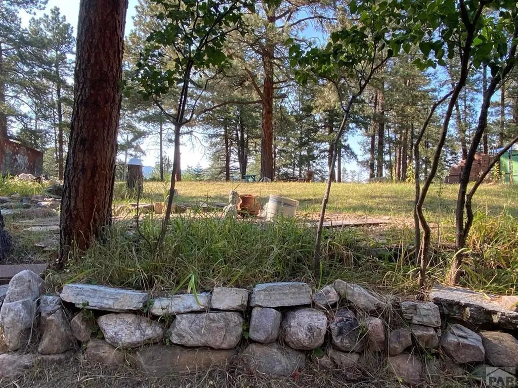 8982 League Trail Beulah CO 81023