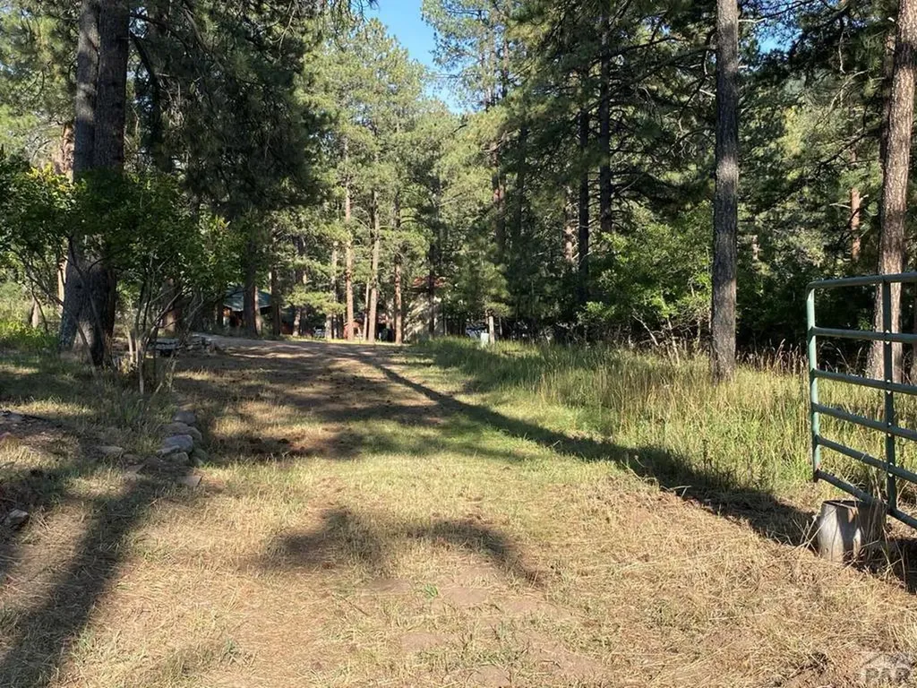 8982 League Trail Beulah CO 81023