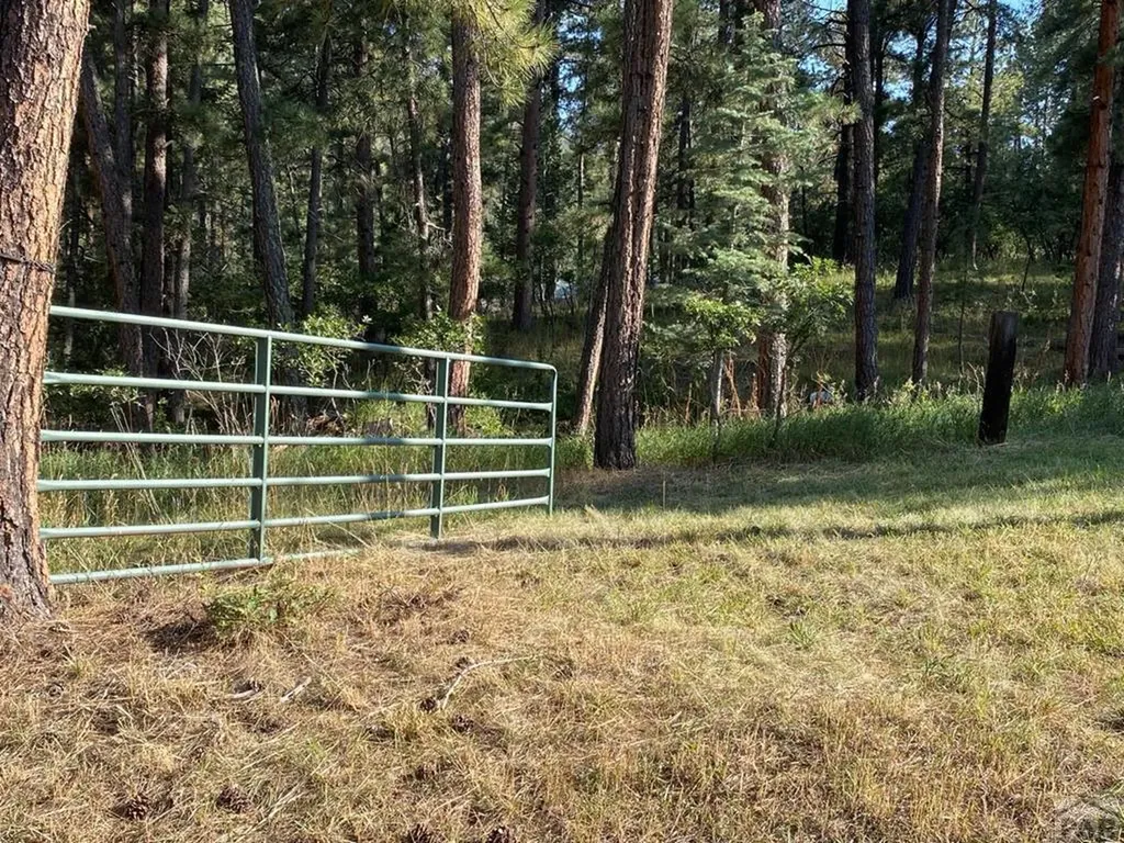 8982 League Trail Beulah CO 81023