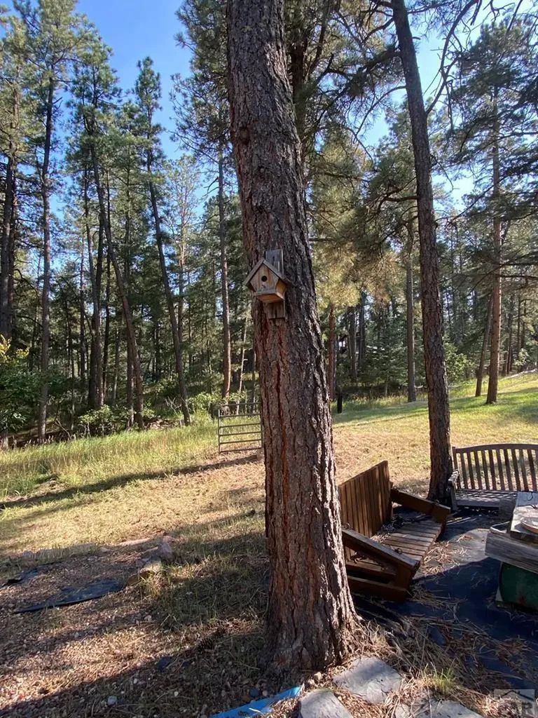 8982 League Trail Beulah CO 81023