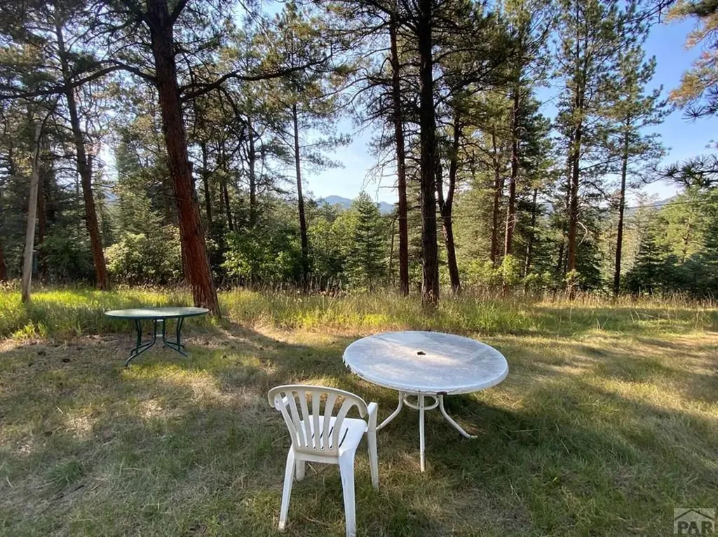 8982 League Trail Beulah CO 81023