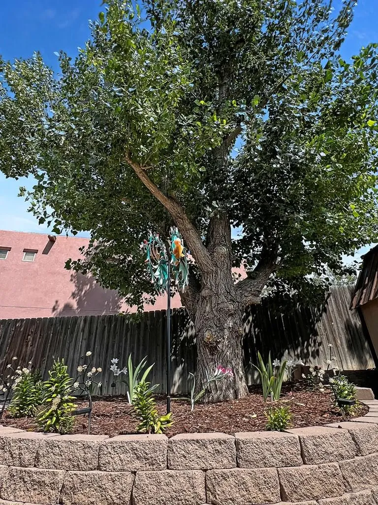 994 S Alexis Lane Pueblo West CO 81007