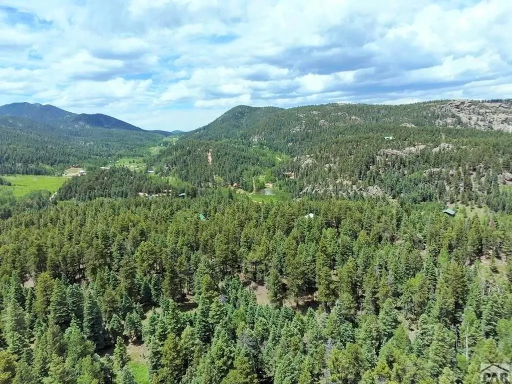 10 Robert Road Rye CO 81069